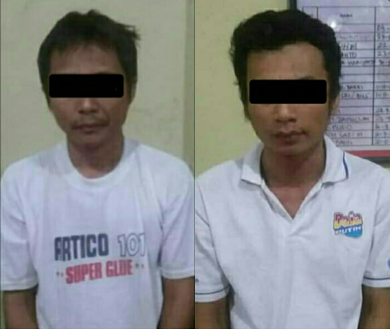 news_img